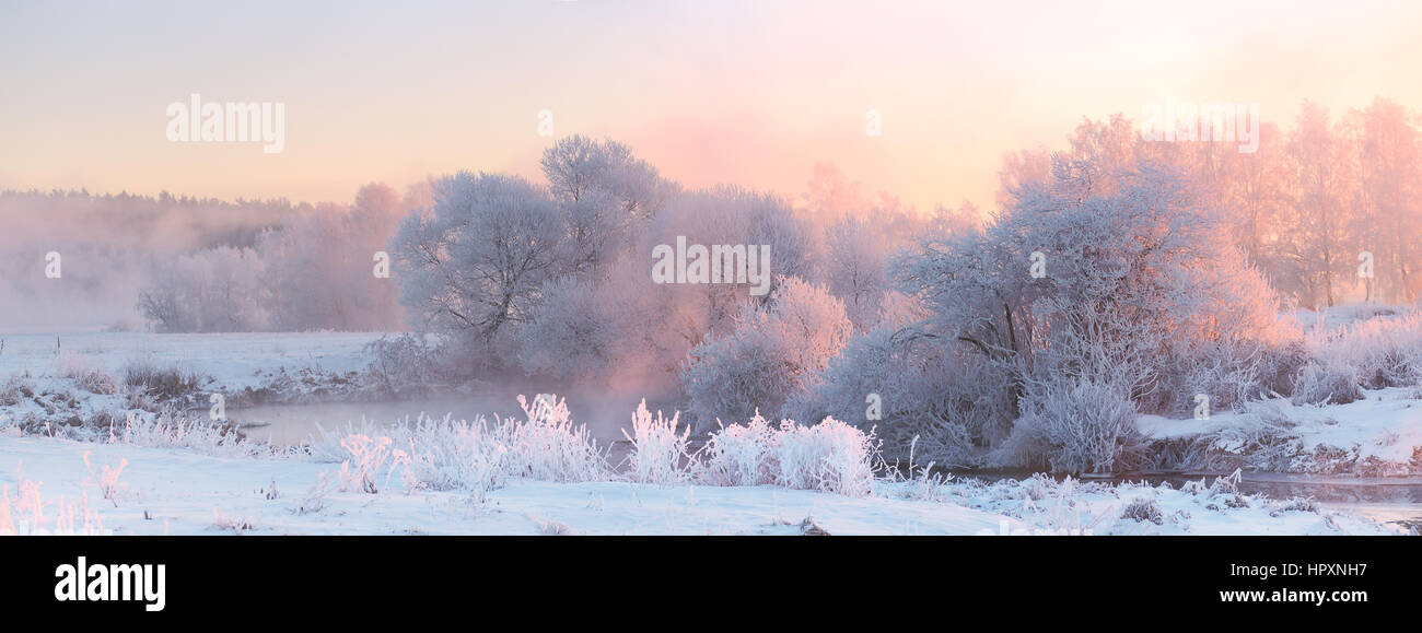 Luminoso winter sunrise. Il pupazzo di neve bianca alberi nella mattina di Natale. Inverno rosso sole illuminano gli alberi di bianco. Foto Stock