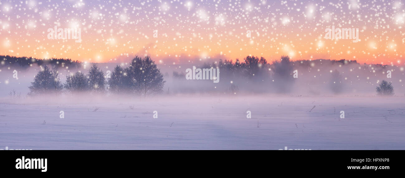 Misty la mattina di Natale con nevicata. Luminosa sullo sfondo di Natale. In inverno il paesaggio panoramico. Foto Stock