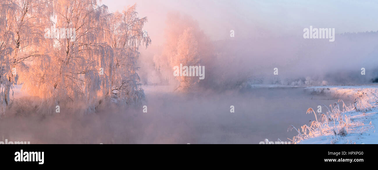 Gelido inverno alberi illuminato dal sole che sorge Foto Stock