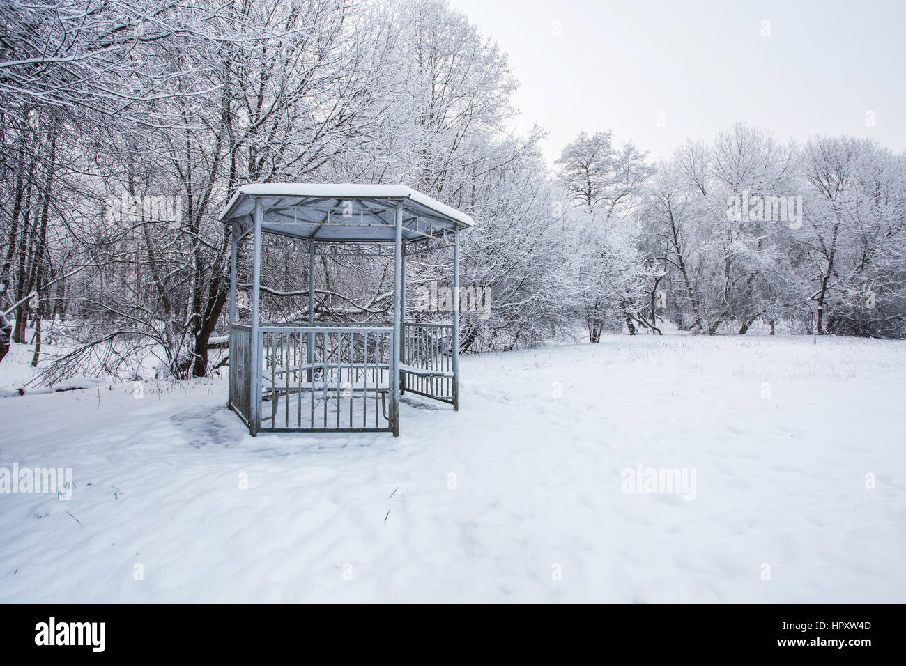 Nevoso inverno giornata nel Parco Centrale a freddo inverno mattina Foto Stock