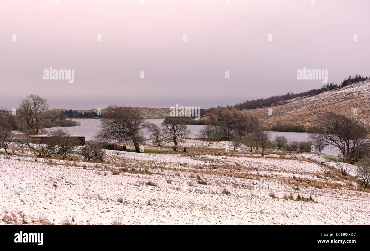 La Cisterna tra Largs e Kilbirnie North Ayrshire. Alberi piegati con il vento coperta di neve i campi e sime dépendance in primo piano. Foto Stock