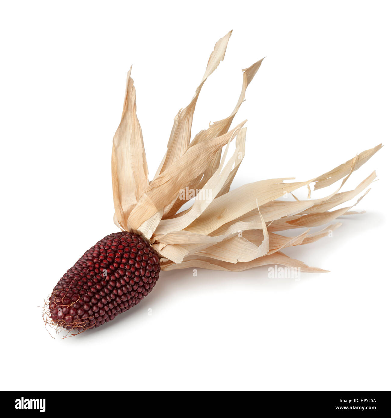 Fragola orecchio di mais su sfondo bianco Foto Stock