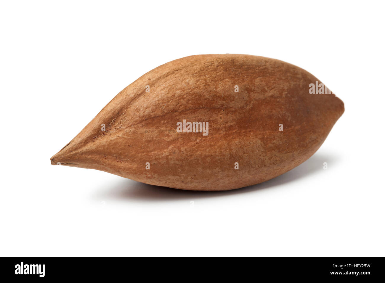 Un unico senza guscio pili dado dalle Filippine su sfondo bianco Foto Stock