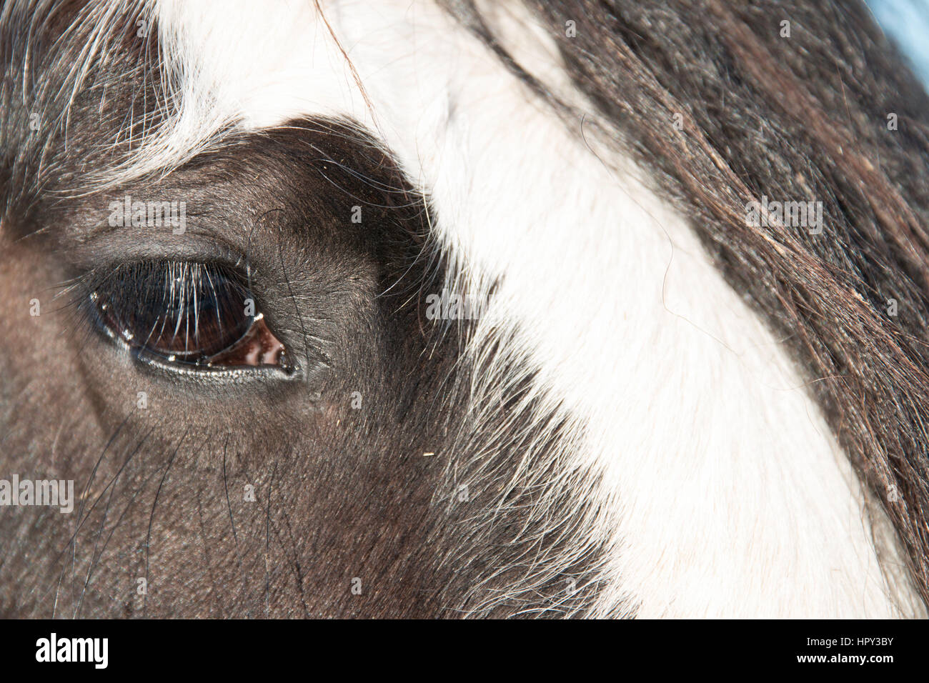 Finestra per l'anima Foto Stock