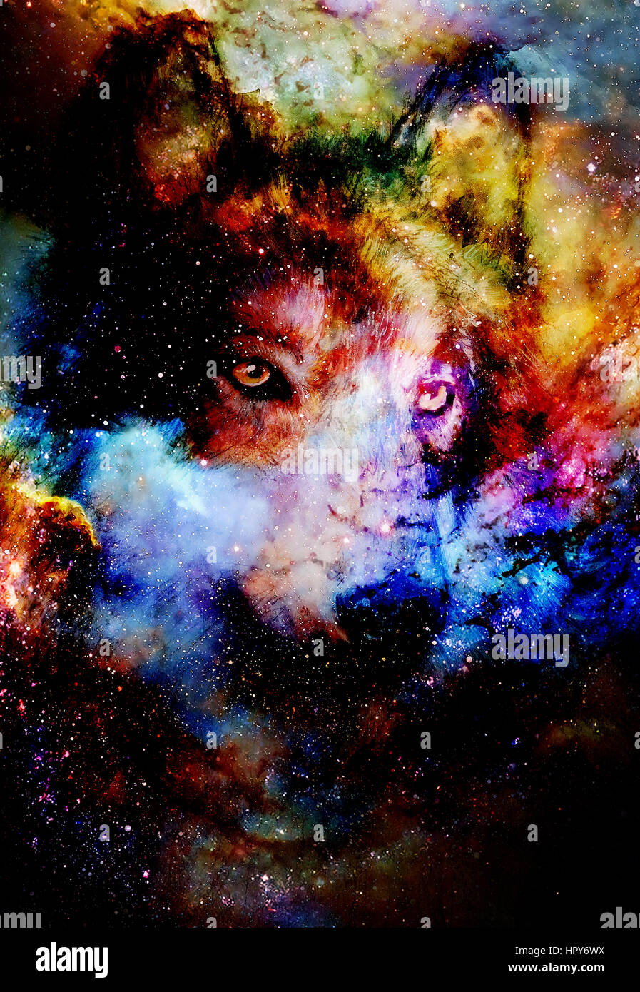 Spazio magico Wolf, multicolore alla computer grafica collage Foto Stock