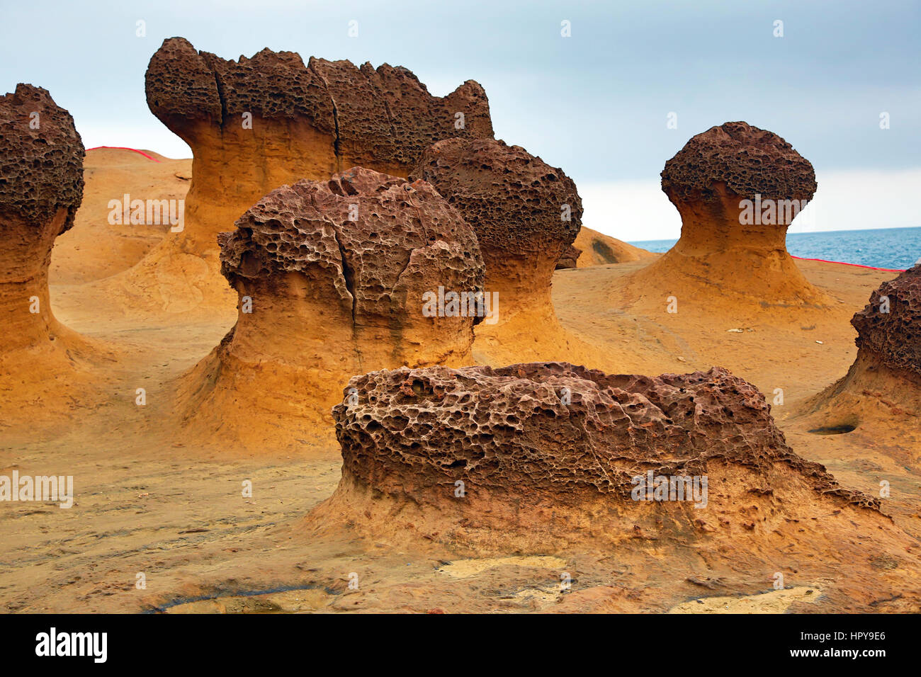 Le formazioni rocciose a Yehliu GeoPark, parte dell'Daliao Miaocene Formazione in Wanli in Taiwan Foto Stock