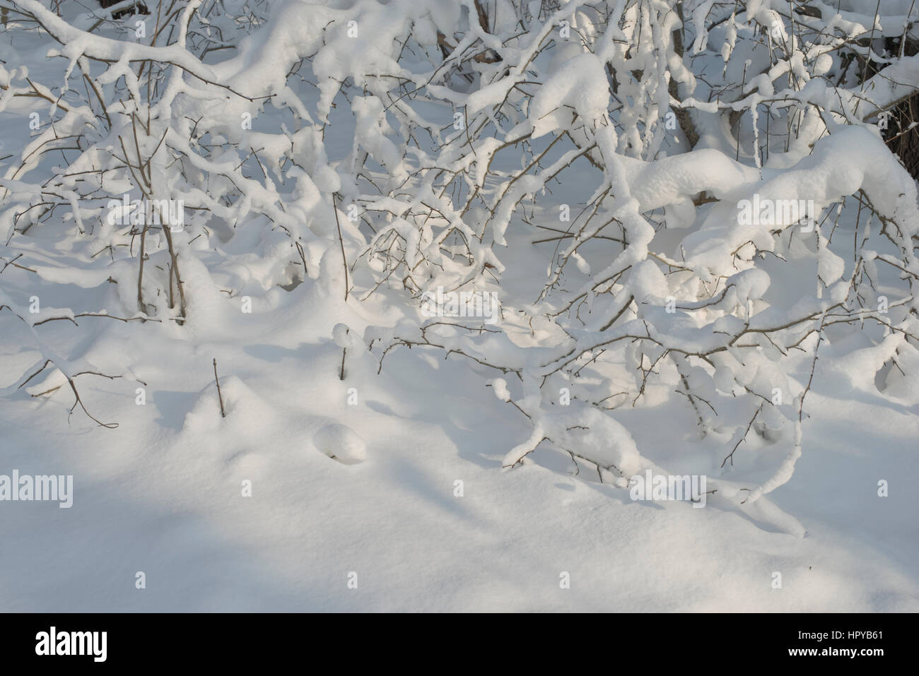Delicata armonia, neve, luce e ombra Foto Stock