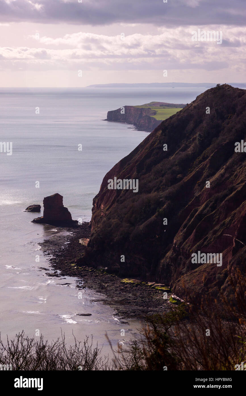 Picco elevato che si eleva al di sopra del picchetto di rocce e mare tra Sidmouth e Ladram Bay, a sud ovest di percorso costiero, Devon Foto Stock