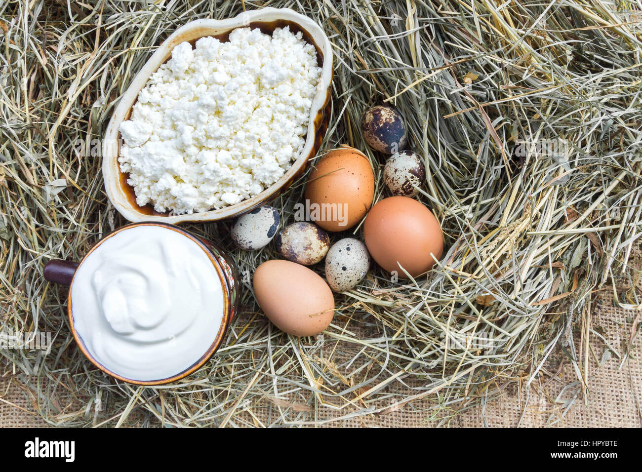 Rustico formaggio, panna acida e varie uova sul fieno. Vista da sopra. Foto Stock