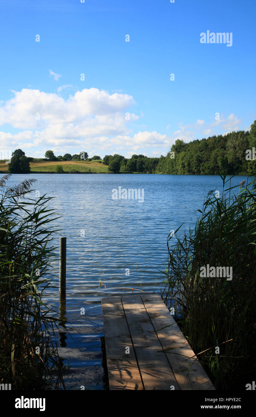 Grebin vicino a Plön, piccolo molo lago Schierensee, Schleswig-Holstein, Germania, Europa Foto Stock