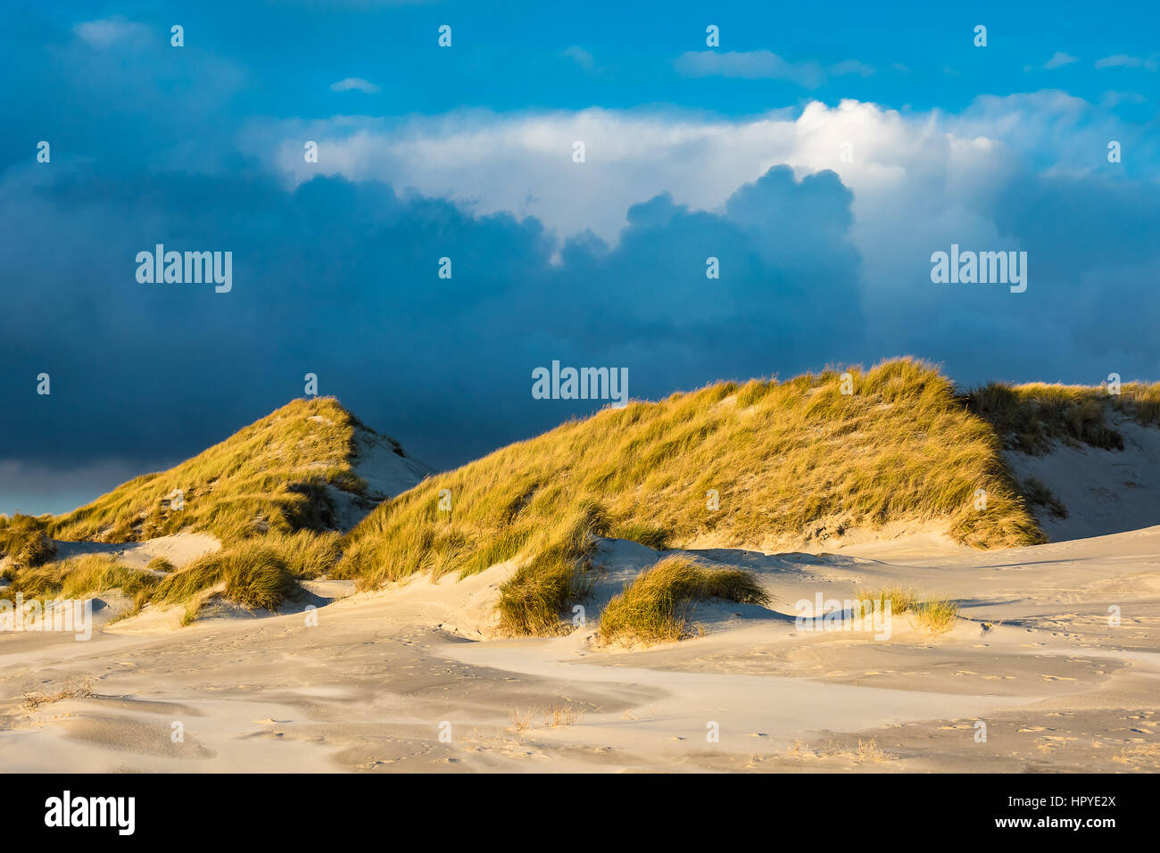 Dune sulla costa del Mare del Nord dell'isola Amrum, Germania. Foto Stock