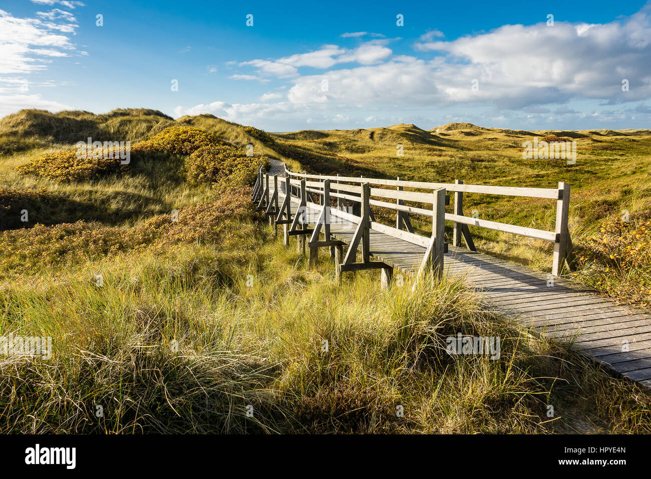 Dune sulla costa del Mare del Nord dell'isola Amrum, Germania. Foto Stock
