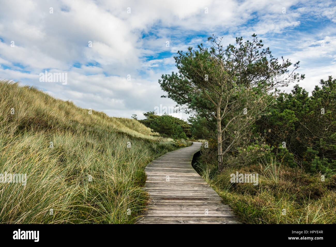 Dune sulla costa del Mare del Nord dell'isola Amrum, Germania. Foto Stock