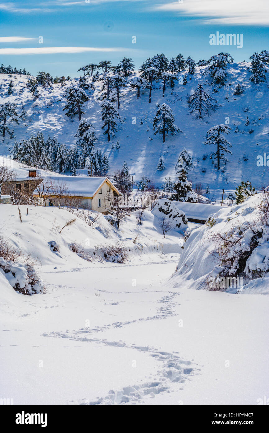 Inverno mountan e foresta di scena in Turchia,montagne vicine costa mediterranea fethiye antalya Foto Stock