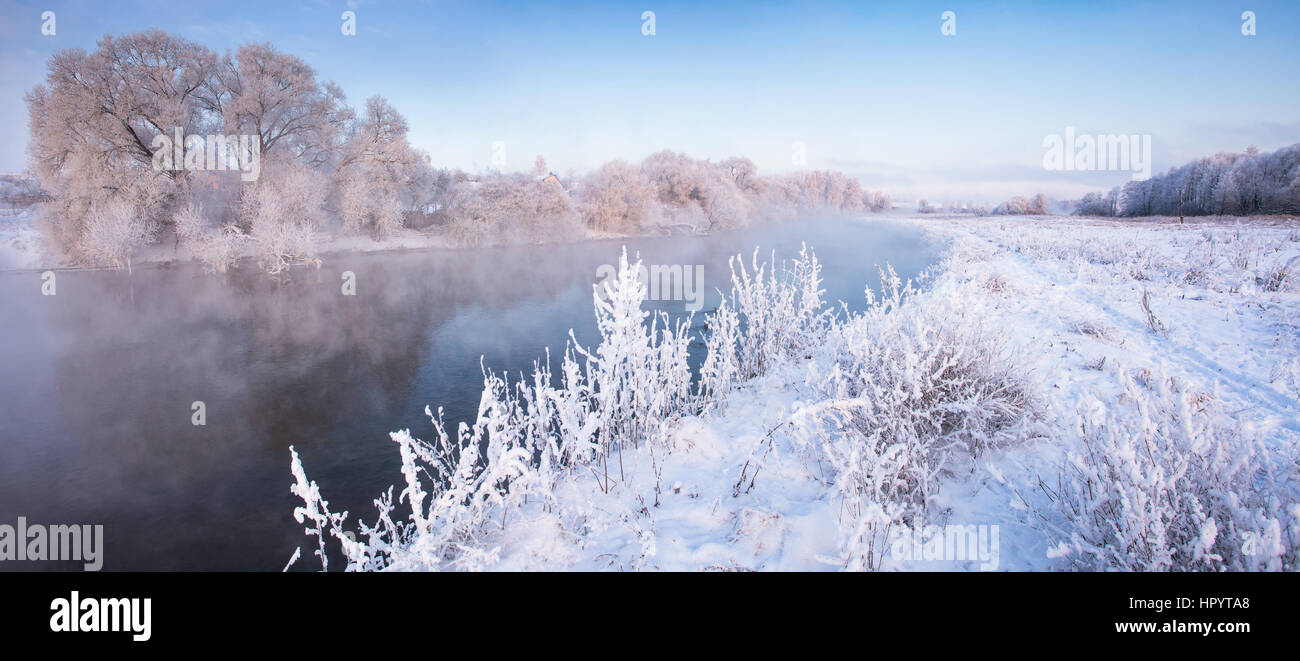 Il bianco della neve su alberi con gelido inverno meteo Foto Stock