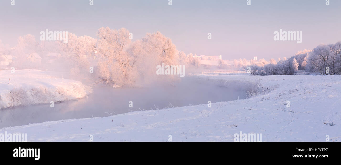 Gelido inverno alberi illuminato dal sole che sorge Foto Stock