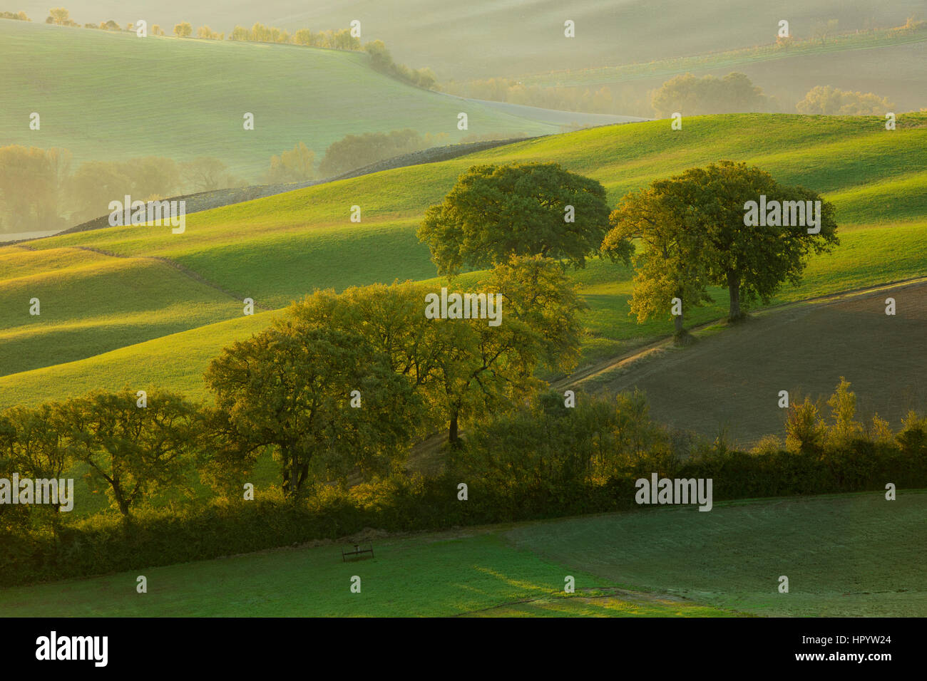 Sunrise nebuloso sulla campagna della Val d'Orcia nei pressi di San Quirico d'Orcia, Toscana, Italia Foto Stock