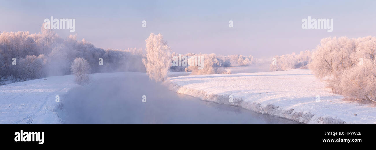 Il sole splende sul gelido inverno alberi bianco Foto Stock