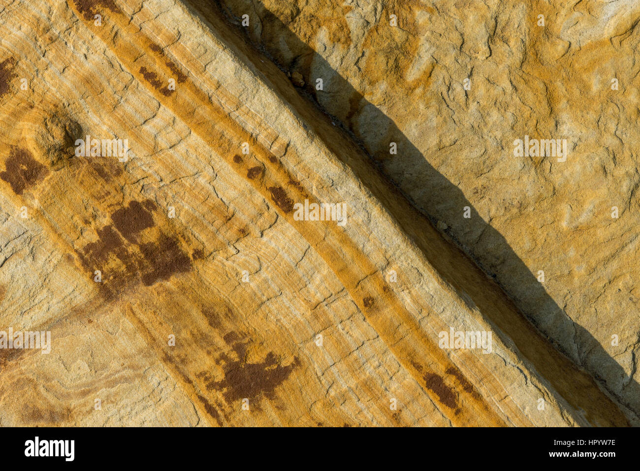 In prossimità delle rocce al punto Knipe, Cayton bay. Un ben noto luogo di interesse geologico sulla costa nord est dell'Inghilterra. Foto Stock