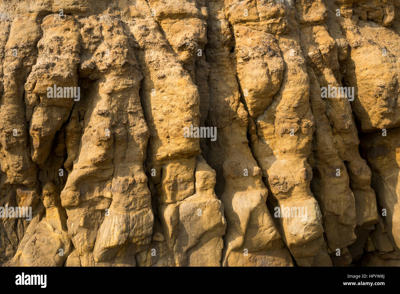 In prossimità delle rocce al punto Knipe, Cayton bay. Un ben noto luogo di interesse geologico sulla costa nord est dell'Inghilterra. Foto Stock