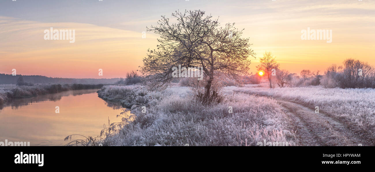 Inverno alba sul bianco campo pupazzo di neve Foto Stock