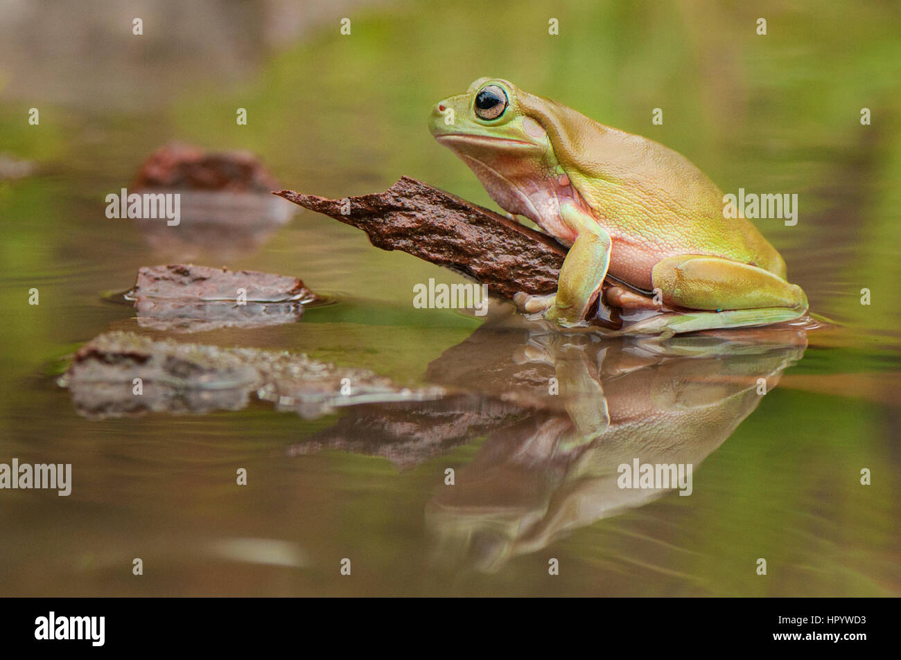 Rimanere su acqua Foto Stock