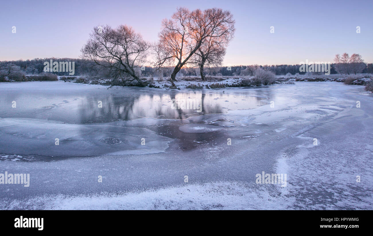 Inverno freddo alba sul lago ghiacciato di tramonto Foto Stock