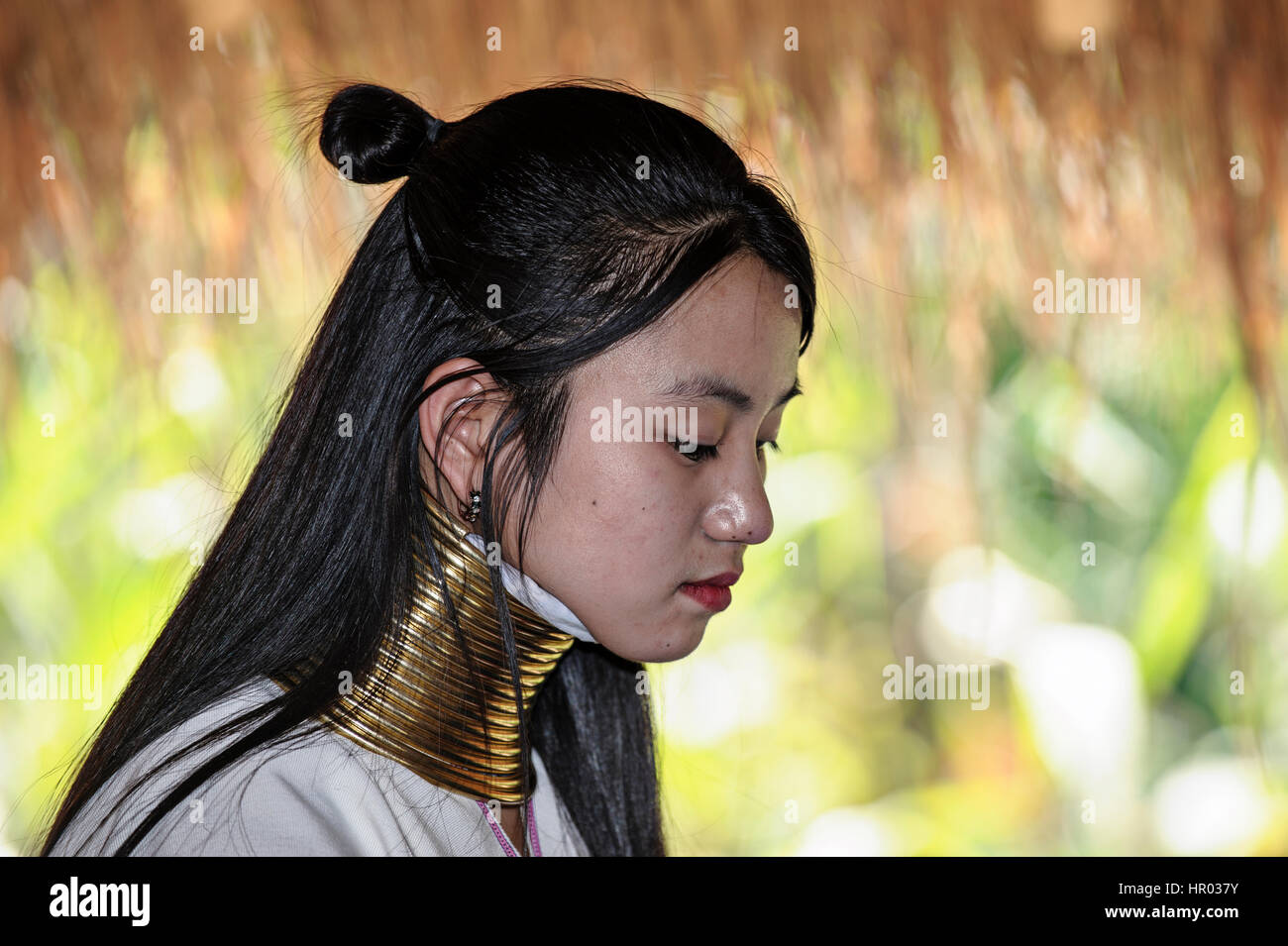 Karen lungo collo girl, Chiang Rai, Thailandia Foto Stock