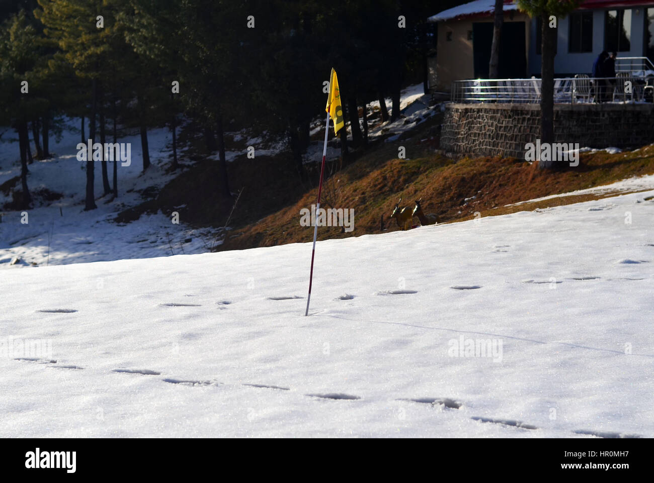 Il Golf nella neve Foto Stock