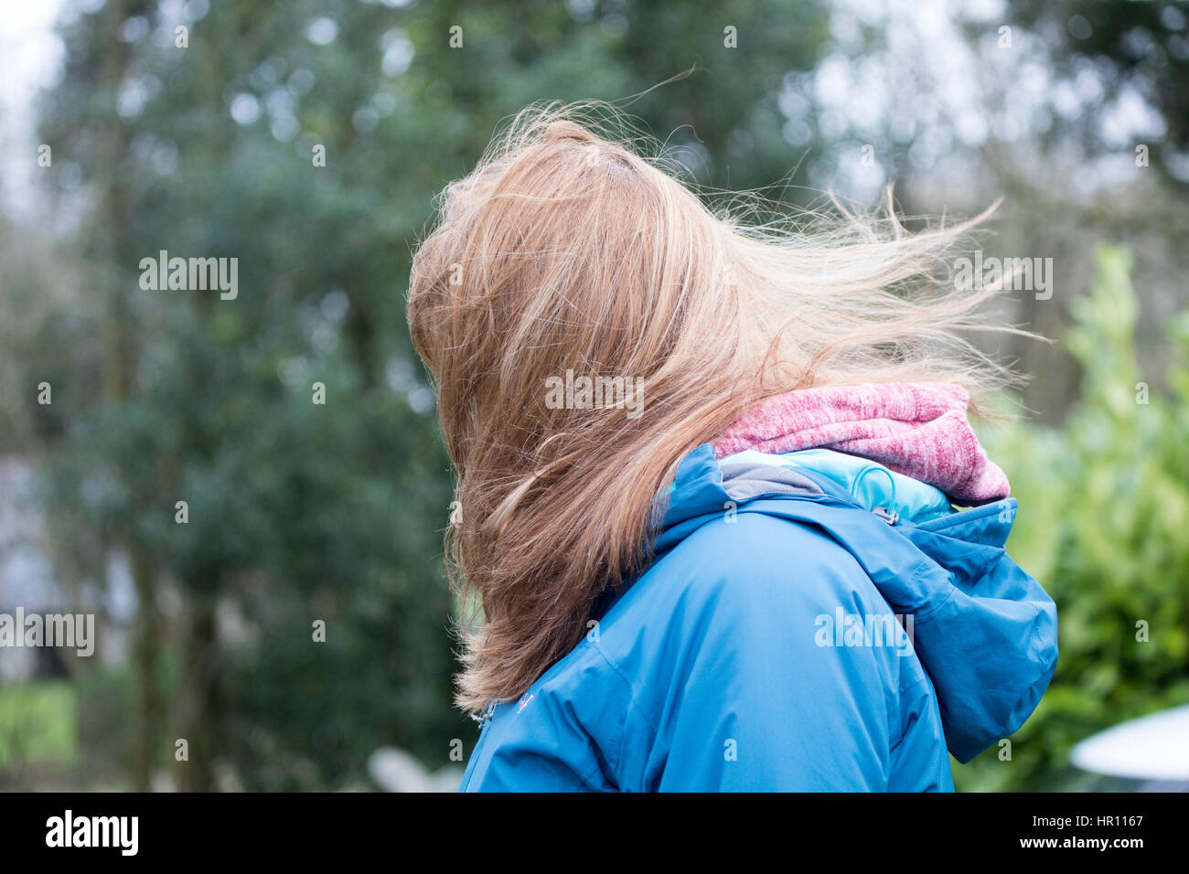 Capelli spazzate dal vento di una donna viene soffiato nel vento Foto Stock