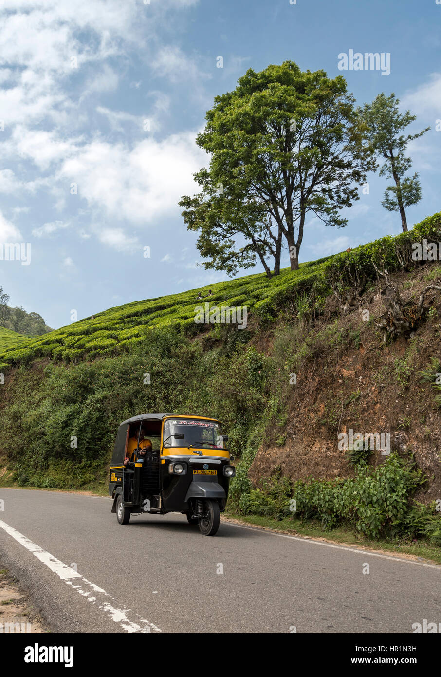 Auto-rickshaw in Lockhart la piantagione di tè, Devikulam, Munnar Kerala, India Foto Stock
