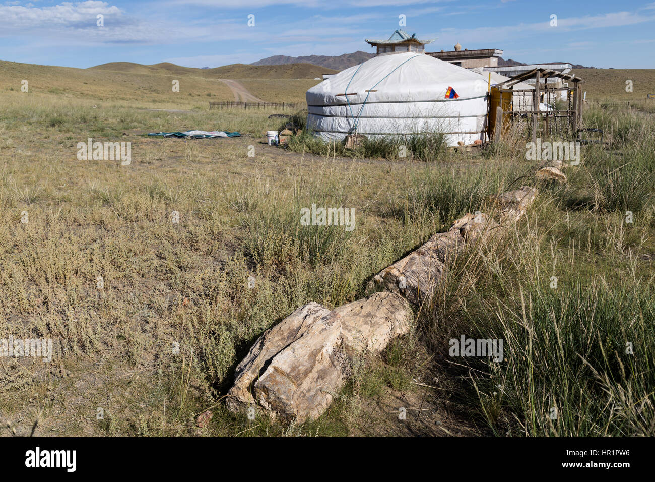 Albero pietrificato in primo piano e Museo Naturalistico Ger nel Gobi Gurvansaikhan National Park in Mongolia Foto Stock