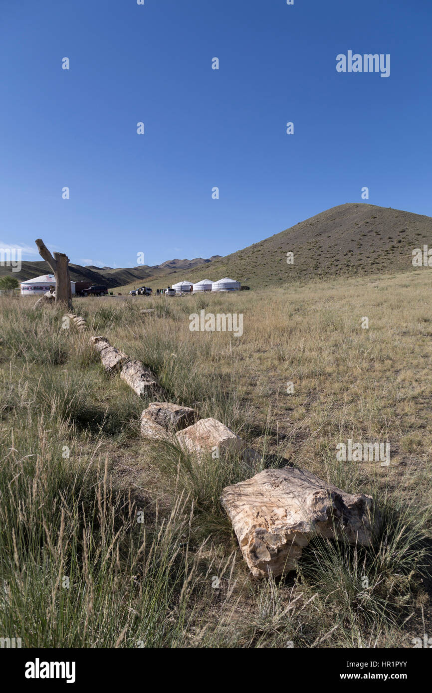 Albero pietrificato in primo piano e Museo Naturalistico Ger nel Gobi Gurvansaikhan National Park in Mongolia Foto Stock