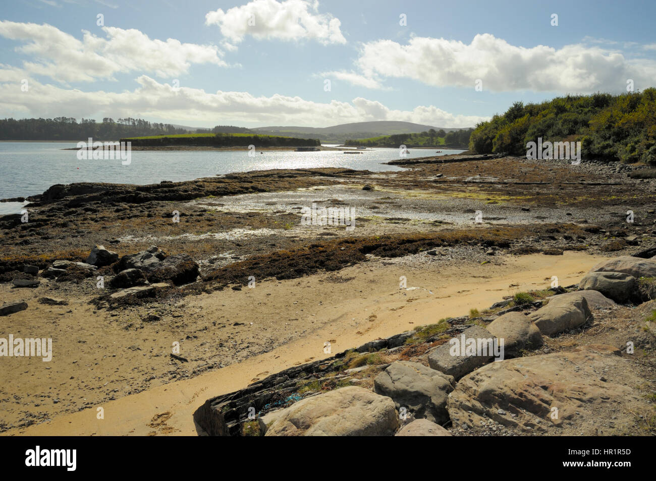 Isola dei Conigli appena al largo di Whiddy Island Bantry Bay Foto Stock