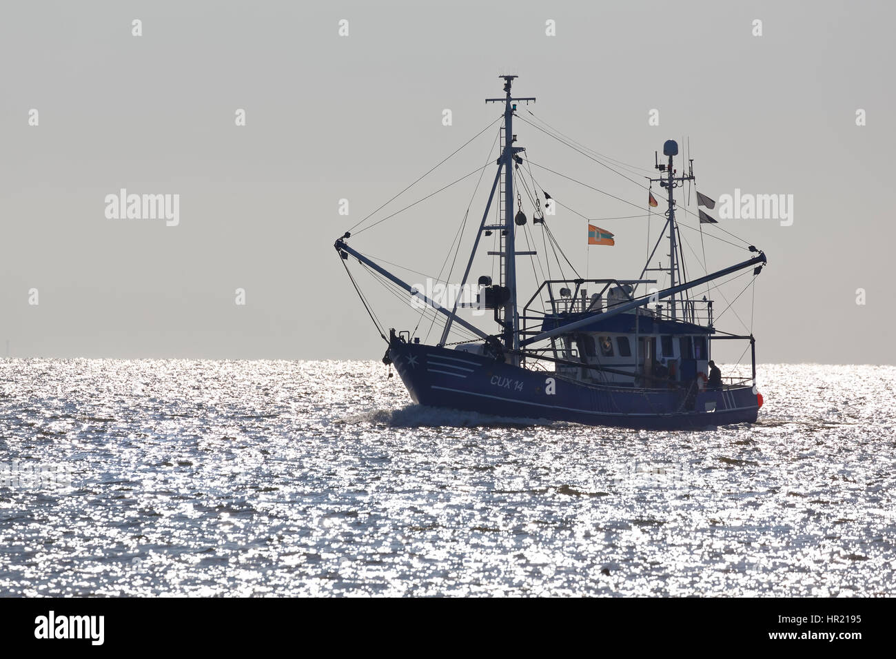 Gamberetti barca sul fiume Elba, Cuxhaven, Bassa Sassonia, Germania, Europa Foto Stock