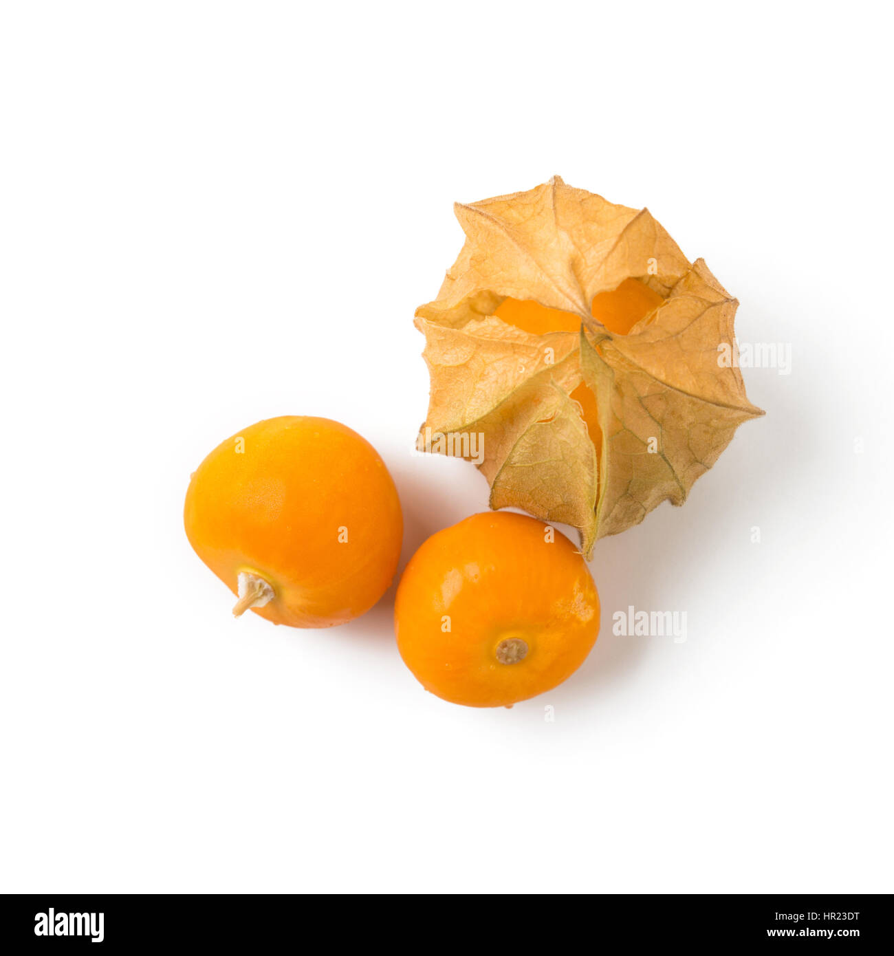 Cape gooseberry su sfondo bianco Foto Stock