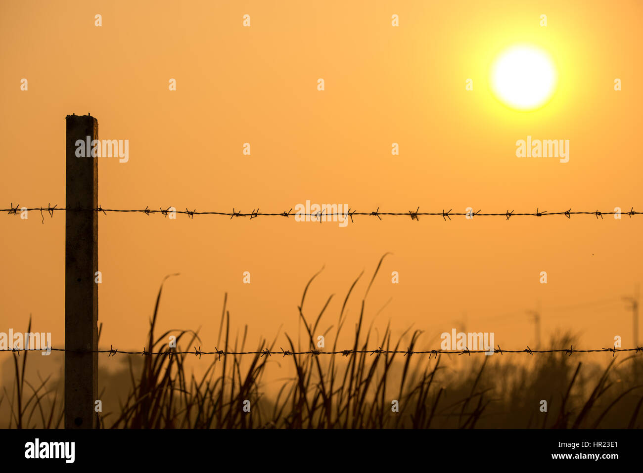 Recinzione di filo spinato con il tramonto del sole Foto Stock