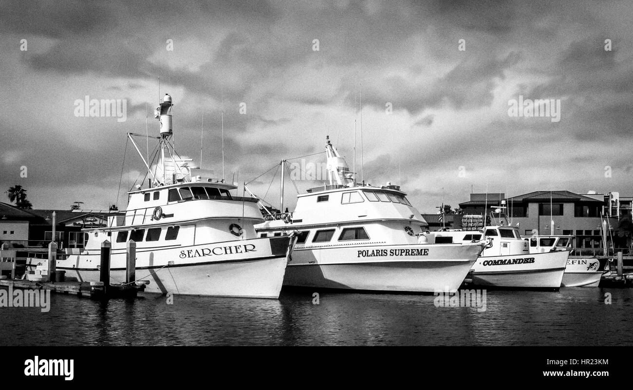 Sportfishing flotta in San Diego Foto Stock