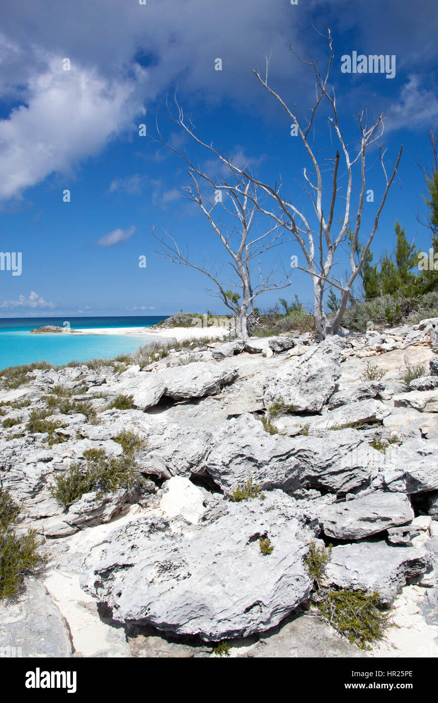 Il paesaggio roccioso di isola disabitata di Half Moon Cay (Bahamas). Foto Stock