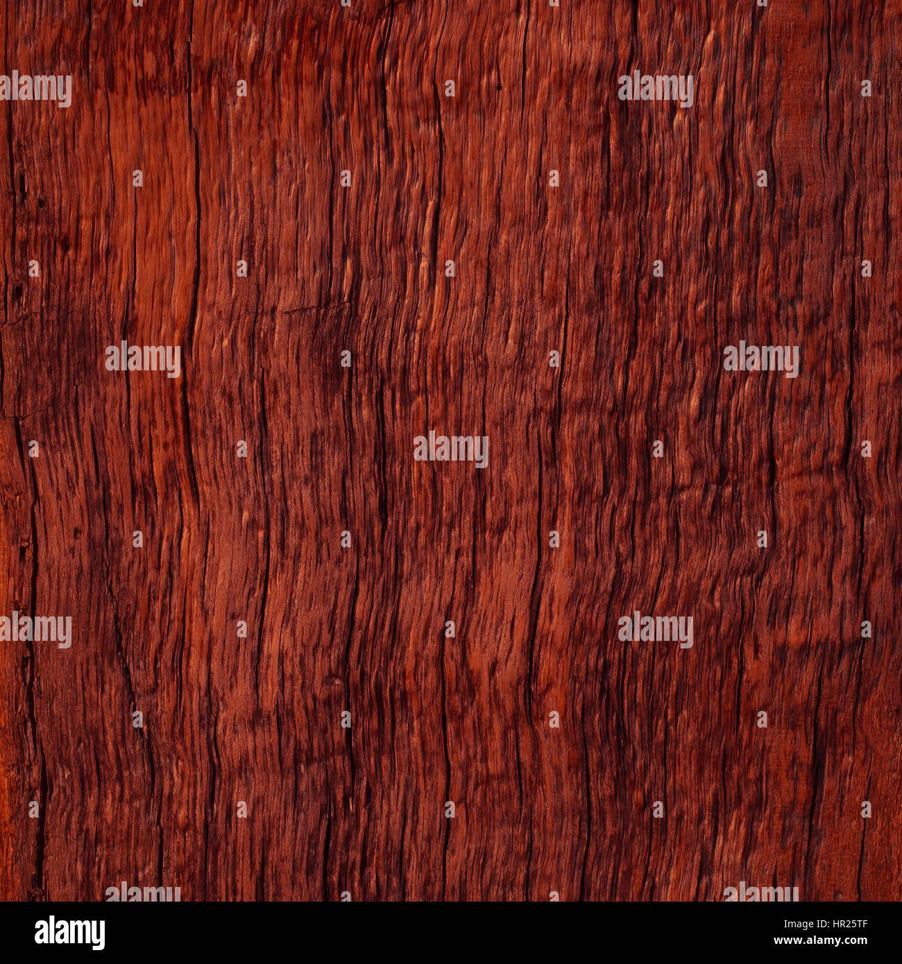 Abstract foto macro di arte ad albero Foto Stock