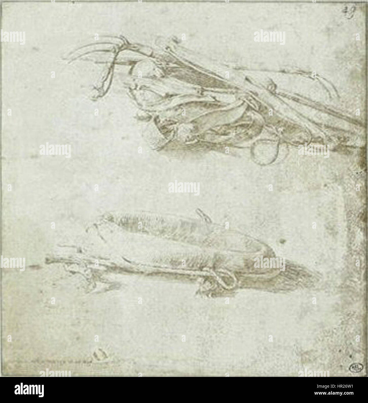 Il lavoro di Pisanello nel "Codex Vallardi" offre un intricato studio dell'arte rinascimentale italiana. Il codice presenta disegni dettagliati che evidenziano l'abilità di Pisanello nel lavoro di linea e negli elementi decorativi. Foto Stock