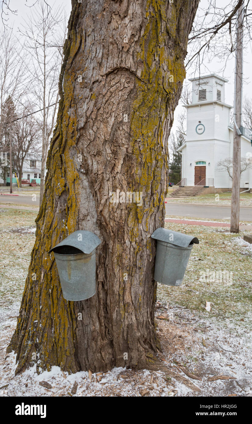 Vermontville, Michigan - Benna tradizionali rubinetti raccogliere sap da alberi di acero per produzione di sciroppo d'acero. A causa del calore di record nel 2017, sap col Foto Stock