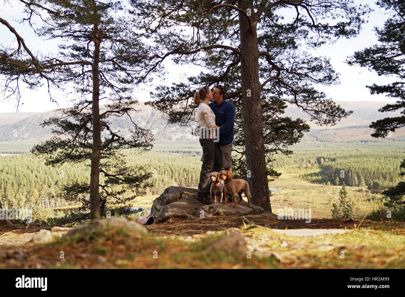 Matura in amore baciare sulla sommità di una roccia nei Cairngorms a Uath Lochans con due gatti ai loro piedi Foto Stock