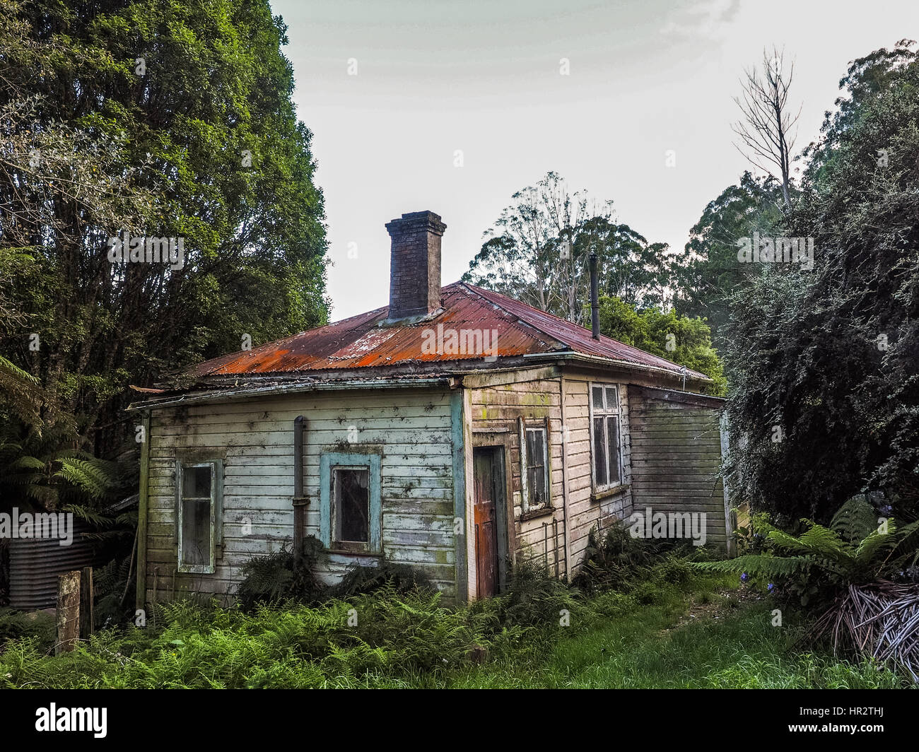 Casa abbandonata, Makino Valley, Nuova Zelanda. Home di 1920s pioneer colono la sua fattoria tagliò fuori del paese collinare boschi, ora rigenerante terre arbusto. Foto Stock