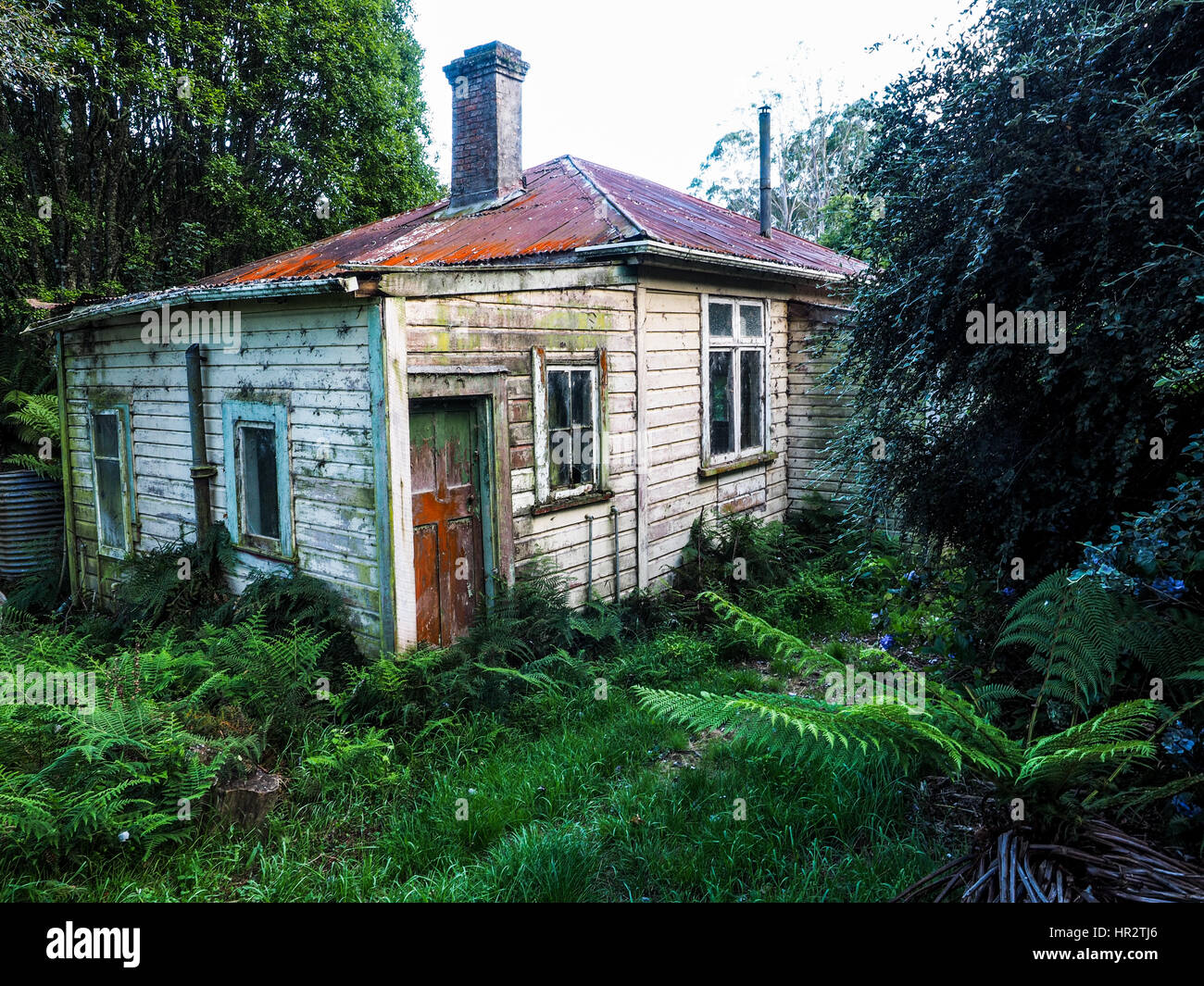 Casa abbandonata, Makino Valley, Nuova Zelanda. Home di 1920s pioneer decantatore una fattoria tagliò fuori del paese collinare boschi, ora rigenerante terre arbusto. Foto Stock