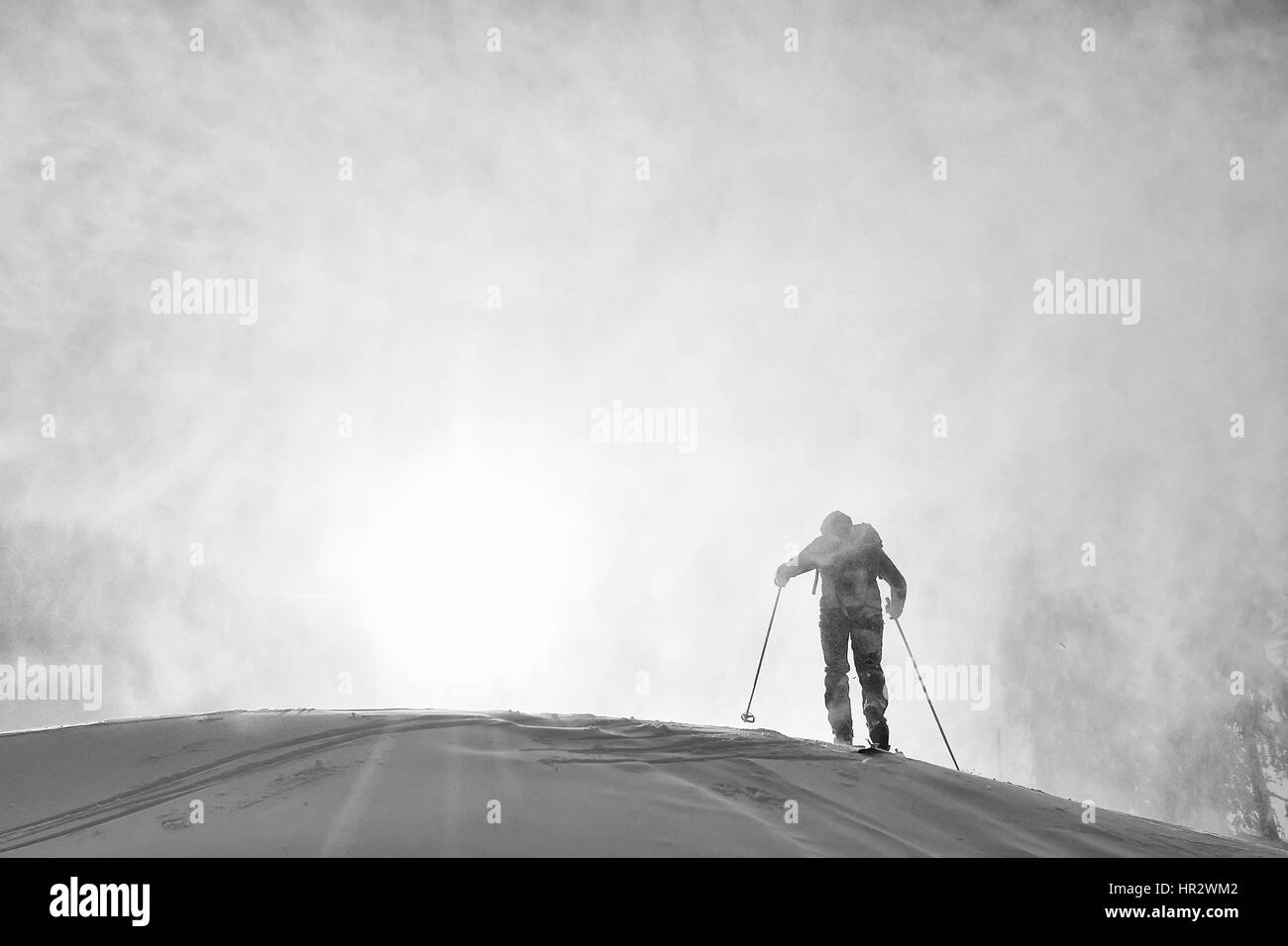 Sci alpinismo nelle dure condizioni invernali Foto Stock