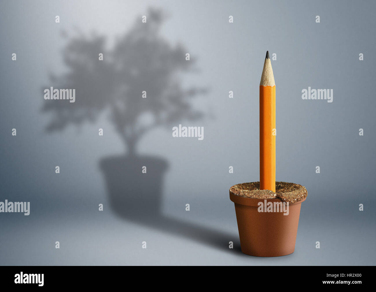 Idea concetto creativo, matita crescente dal pot Foto Stock