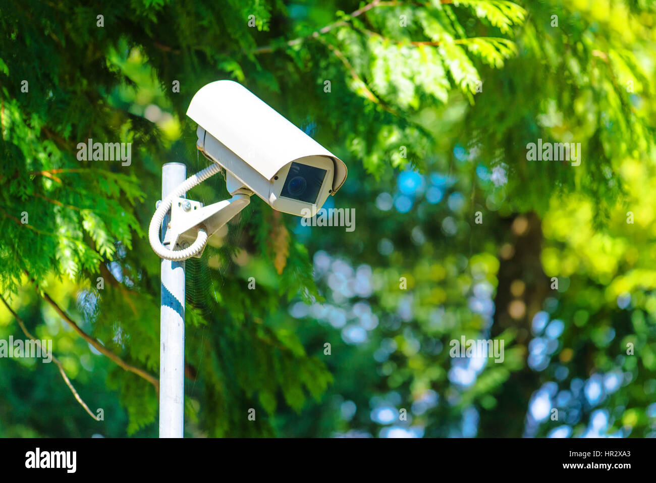 Tvcc telecamera di sicurezza per attività di monitoraggio e sorveglianza nel parco verde Foto Stock