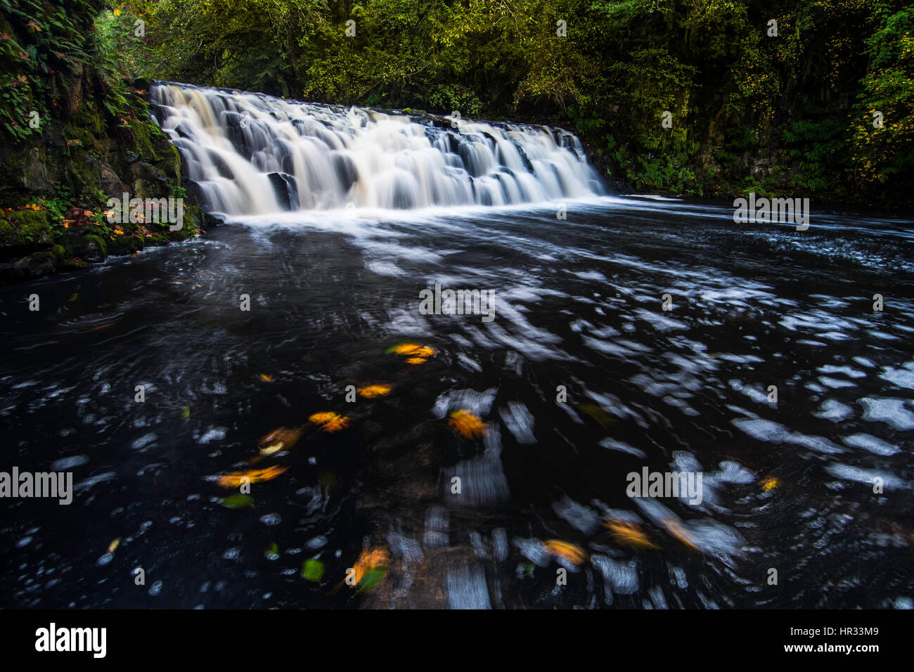 Superiore di Beaver Creek Falls nel nord di Oregon Foto Stock