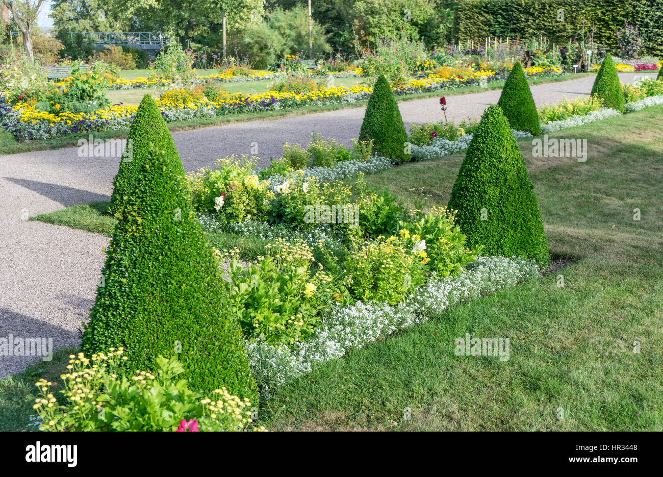 Giardino ornamentale con faggi e fiori Foto Stock